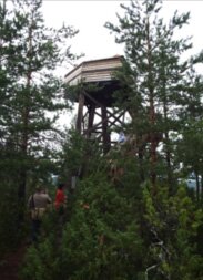 Wooden-Structure